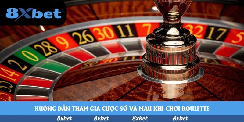 8XBET Đăng Ký - nhà cái tặng 68k